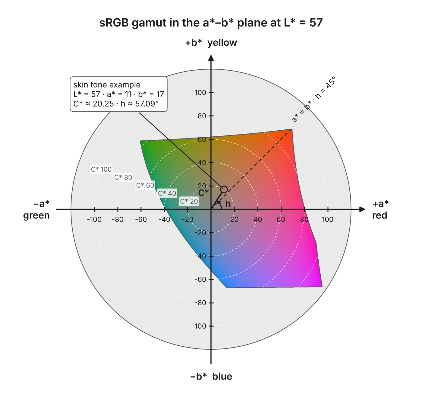 The a*–b* plane of Lab space with an example skin tone